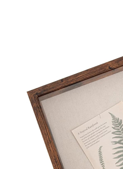 Framed Floral Preservation