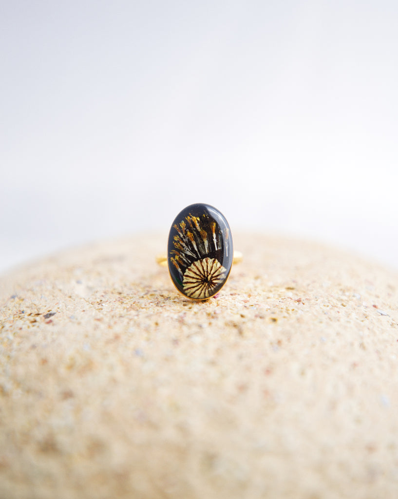 Noctuary Gold Oval Ring size 9